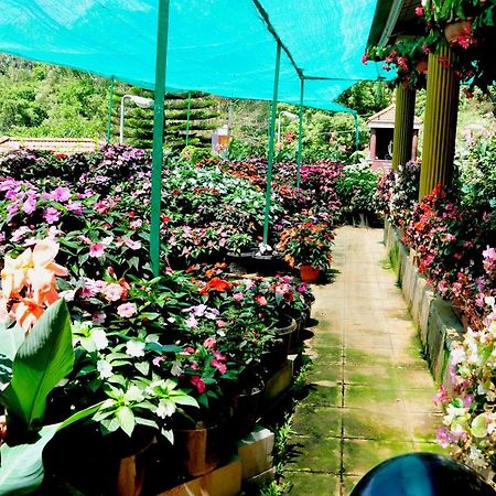 Sri Venkateshwara Residency Hotel Madikeri Bagian luar foto